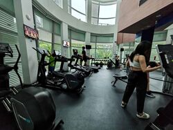 Eight Riversuites (D12), Condominium #603085771